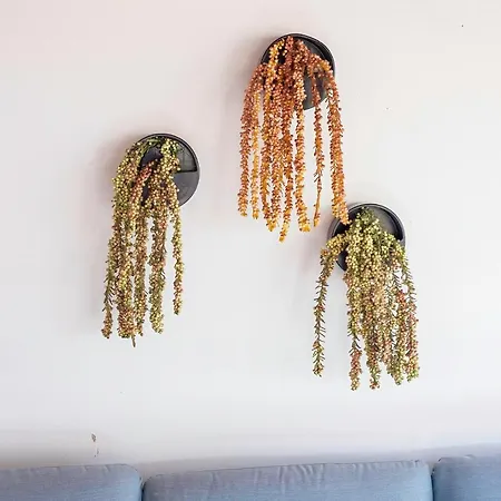 Gaia's Garden -nova Decoracao! *