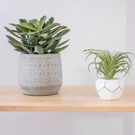 شقة Gaia's Garden -nova Decoracao! *