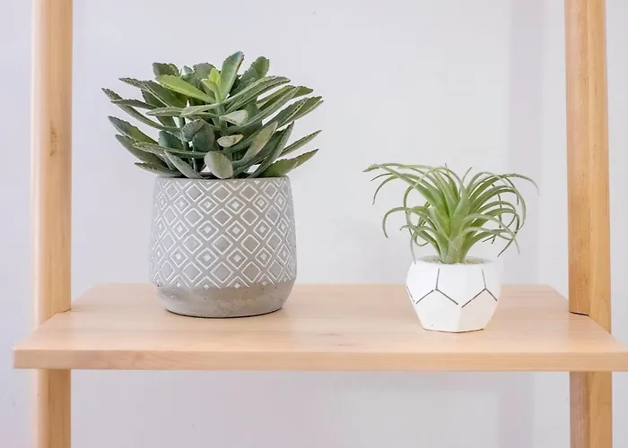 Апартаменты Gaia's Garden -nova Decoracao! *